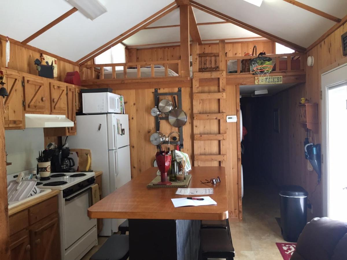 Cozy Cabin On The Bayou Maurepas Exterior foto